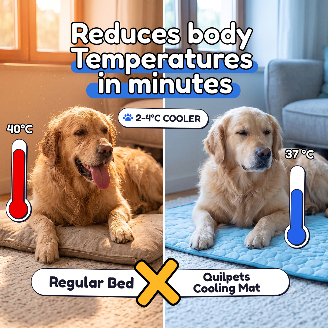 Quilpets Cooling Mat