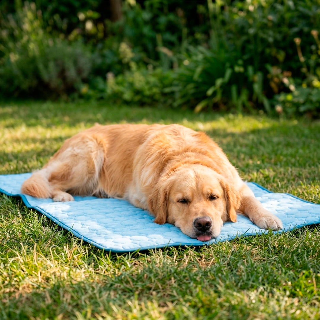 Quilpets Cooling Mat