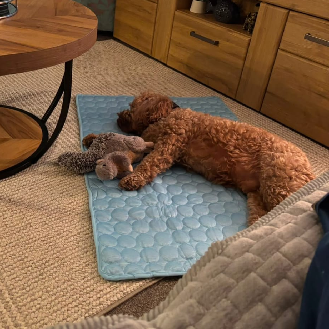 Pet on Quilpets mat